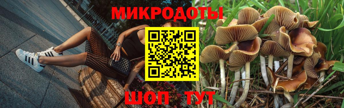 дарнет шоп  Галлюциногенные грибы Psilocybe  Вход с VPN  Сыктывкар 