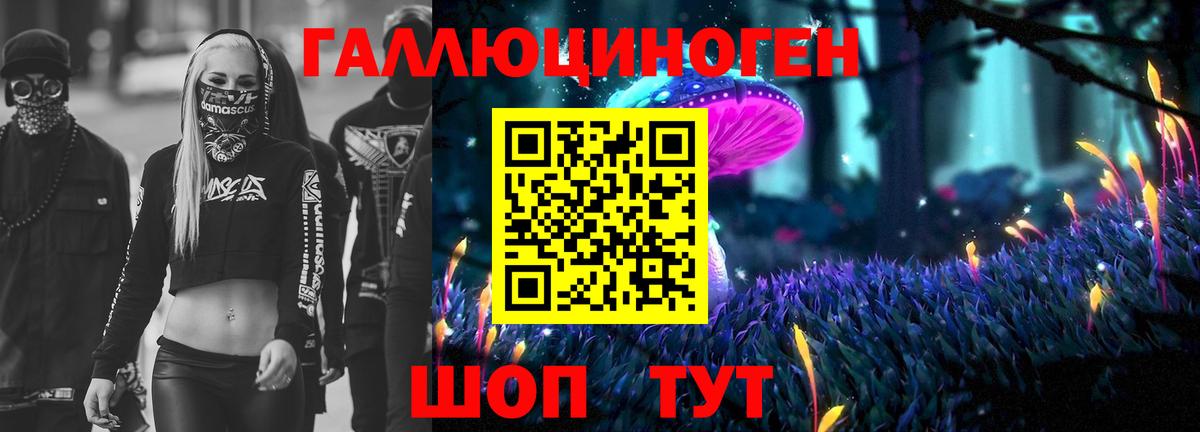 Галлюциногенные грибы GOLDEN TEACHER Сыктывкар