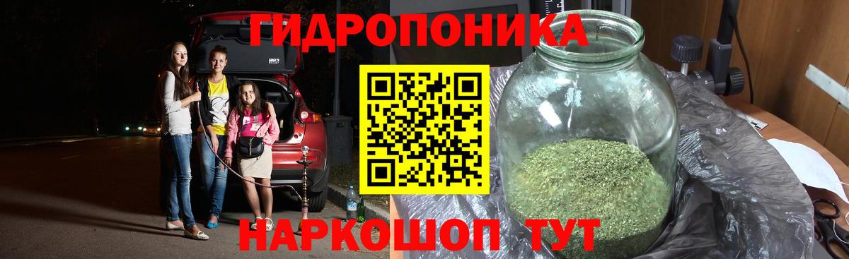 Сыктывкар  Каннабис план  Вход с VPN  Бошки марихуана марихуана 